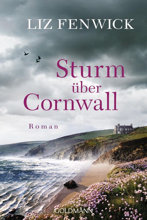 Produktbild: Sturm &uuml;ber Cornwall