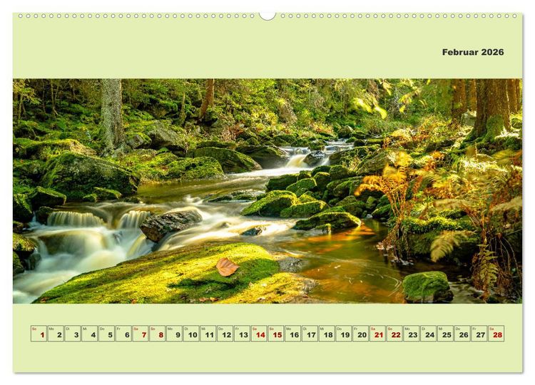 Produktbild: Die schwarze Pockau im Herbstgewand (Wandkalender 2026 DIN A2 quer), CALVENDO Monatskalender
