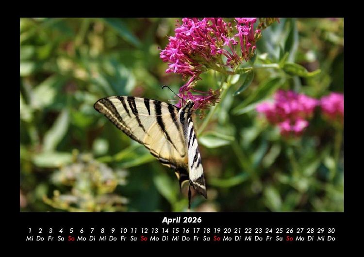 Produktbild: Blumenkalender 2026 Fotokalender DIN A3