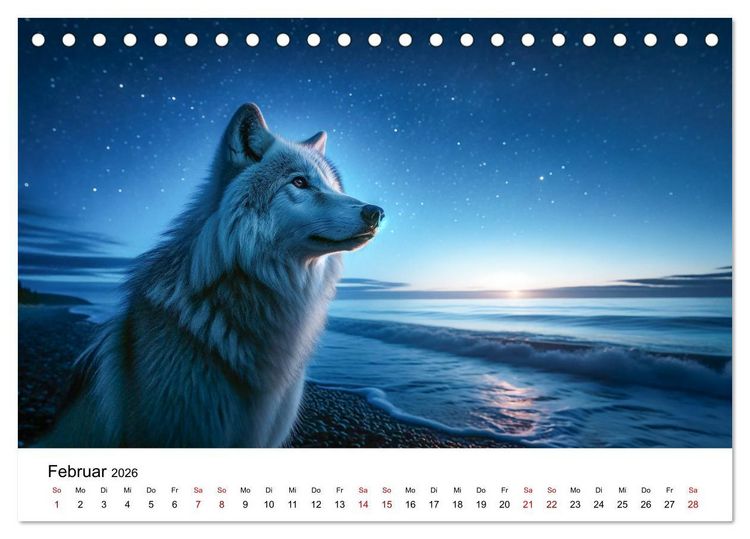 Produktbild: Kanadische K&uuml;stenw&ouml;lfe (Tischkalender 2026 DIN A5 quer), CALVENDO Monatskalender