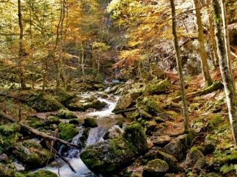 Produktbild: CALVENDO Puzzle Hartelsgraben | 1000 Teile Lege-Gr&ouml;&szlig;e 64x48cm Foto-Puzzle f&uuml;r gl&uuml;ckliche Stunden