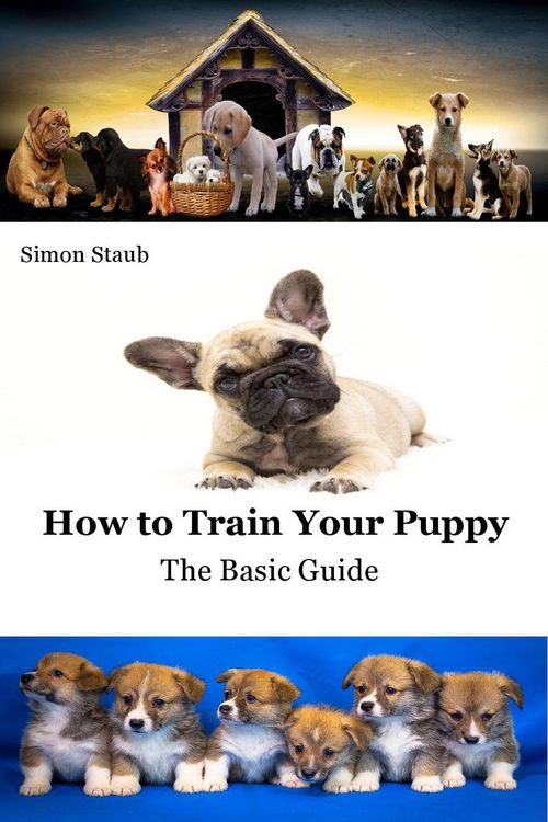 Produktbild: How to Train Your Puppy (Dog training)