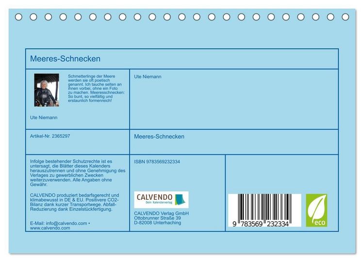 Produktbild: Meeres-Schnecken (Tischkalender 2027 DIN A5 quer), CALVENDO Monatskalender