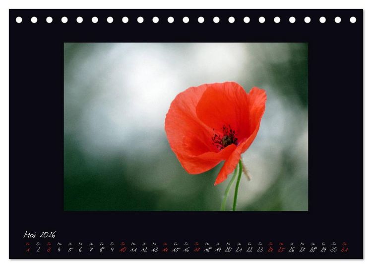 Produktbild: MOHNographie (Tischkalender 2026 DIN A5 quer), CALVENDO Monatskalender