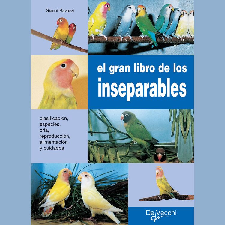 Produktbild: El gran libro de los inseparables