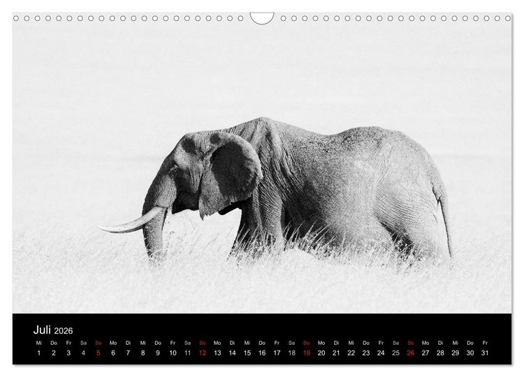 Produktbild: Elefanten Schwarz - Weiss (Wandkalender 2026 DIN A3 quer), CALVENDO Monatskalender
