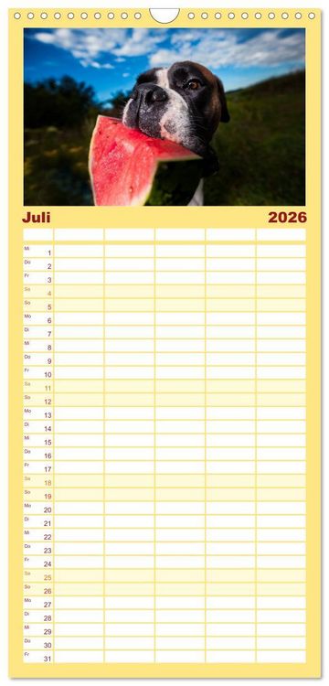Produktbild: Familienplaner 2026 - Deutscher Boxer mit 5 Spalten (Wandkalender, 21 x 45 cm) CALVENDO