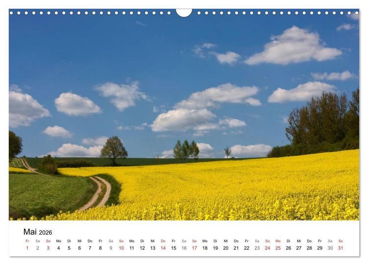 Produktbild: Rapsodie (Wandkalender 2026 DIN A3 quer), CALVENDO Monatskalender