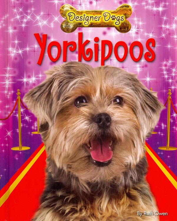 Produktbild: Yorkipoos