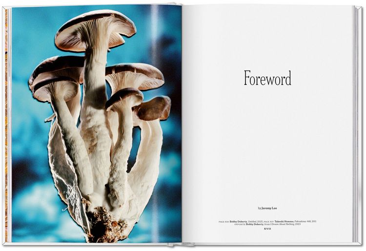 Produktbild: The Gourmand's Mushroom