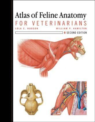 Produktbild: Atlas of Feline Anatomy for Veterinarians
