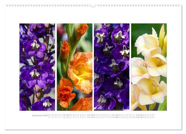 Produktbild: Gartenfreude (Wandkalender 2026 DIN A2 quer), CALVENDO Monatskalender