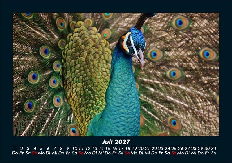 Produktbild: Welt der V&ouml;gel 2027 Fotokalender DIN A5