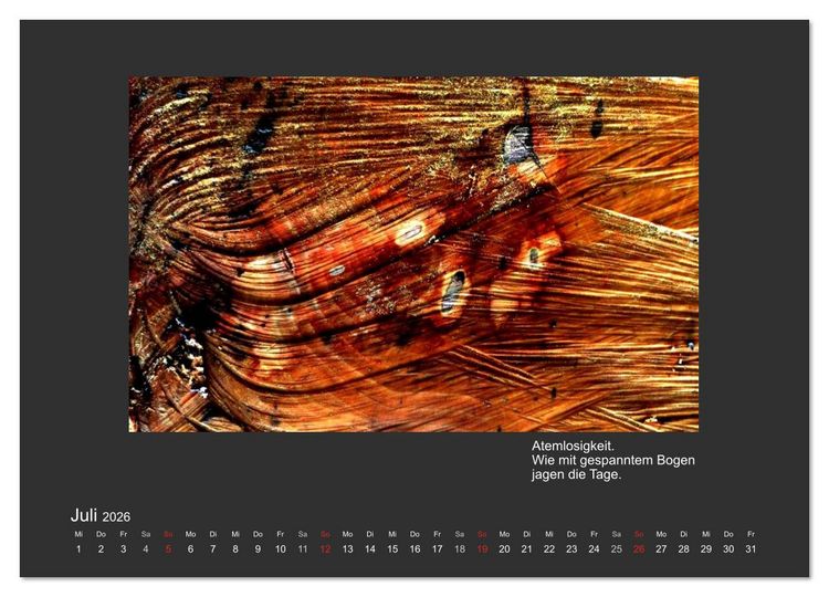 Produktbild: MAGIE HOLZ 2026 (Wandkalender 2026 DIN A4 quer), CALVENDO Monatskalender
