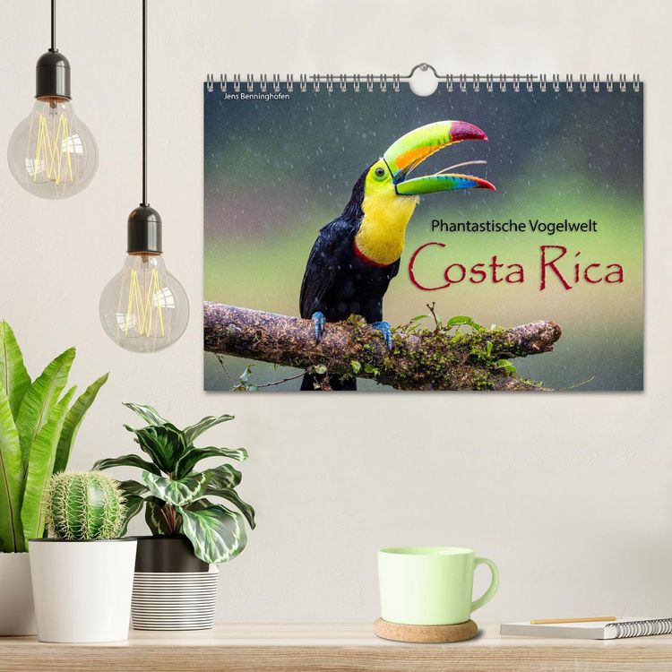 Produktbild: Phantastische Vogelwelt Costa Rica (Wandkalender 2026 DIN A4 quer), CALVENDO Monatskalender