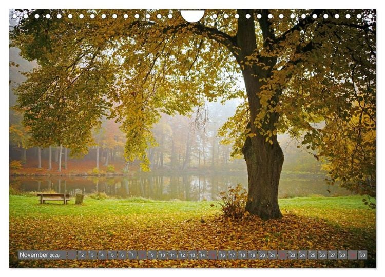 Produktbild: Zauberhafte Schwalm (Wandkalender 2026 DIN A4 quer), CALVENDO Monatskalender