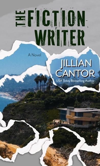 Produktbild: The Fiction Writer