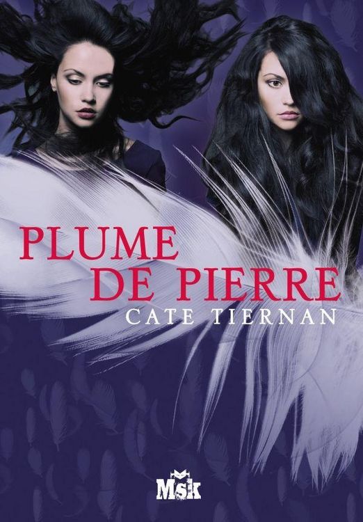 Produktbild: Plume de pierre
