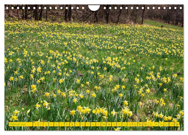 Produktbild: Eifel Sehnsucht (Wandkalender 2026 DIN A4 quer), CALVENDO Monatskalender
