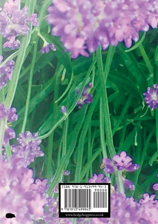 Produktbild: Symbiosis