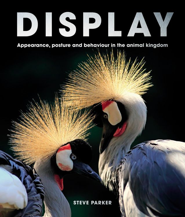 Produktbild: Display