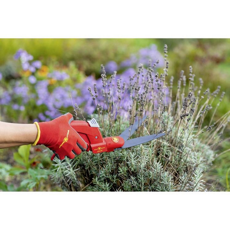 Produktbild: WOLF-Garten 73AJA006650 Comfort GS-2P Hand Grasschere