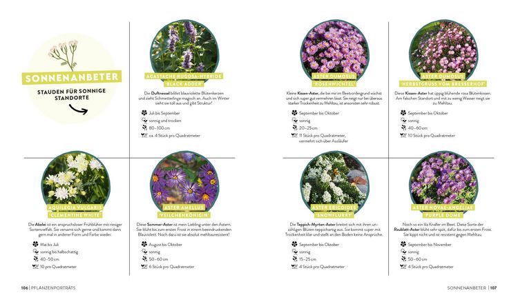 Produktbild: Keine Zeit zu g&auml;rtnern &ndash; Blumenparadies mit wenig Aufwand