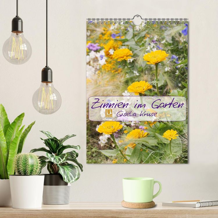 Produktbild: Zinnien im Garten (Wandkalender 2026 DIN A4 hoch), CALVENDO Monatskalender