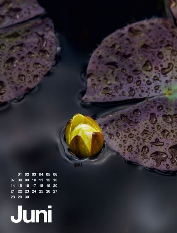 Produktbild: Fr&uuml;hling, Sommer, Herbst & Winter Kalender 2027