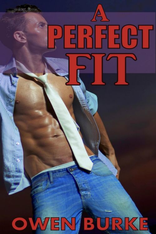 Produktbild: A Perfect Fit (Older Man / Younger Man Gay Sex)