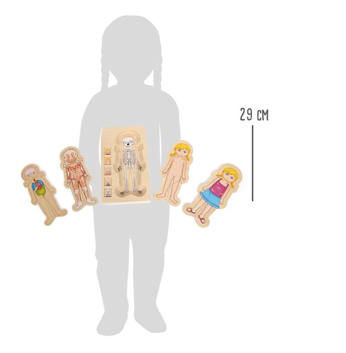 Produktbild: Schichtenpuzzle Anatomie M&auml;dchen