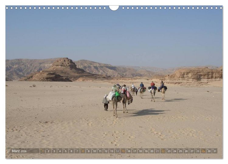 Produktbild: Impressionen Kameltrekking Sinai 2026 (Wandkalender 2026 DIN A3 quer), CALVENDO Monatskalender