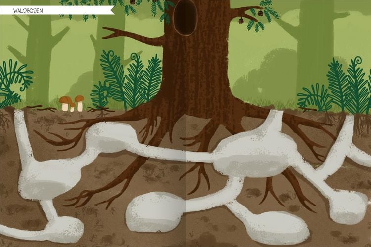 Produktbild: Naturforscher-Kids &ndash; Stickerheft Im Wald