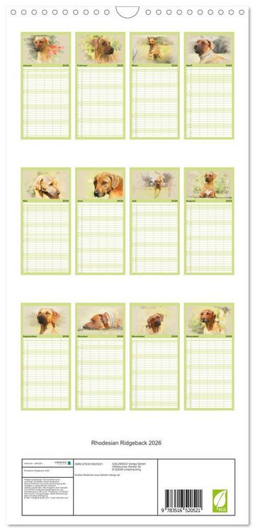 Produktbild: Familienplaner 2026 - Rhodesian Ridgeback 2026 mit 5 Spalten (Wandkalender, 21 x 45 cm) CALVENDO