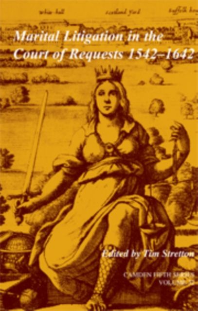 Produktbild: Marital Litigation in The Cour