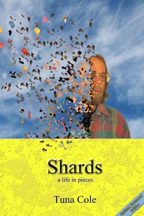 Produktbild: Shards a life in pieces