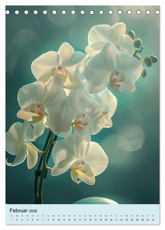 Produktbild: Orchideen Poesie (Tischkalender 2026 DIN A5 hoch), CALVENDO Monatskalender