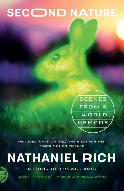 Produktbild: Second Nature