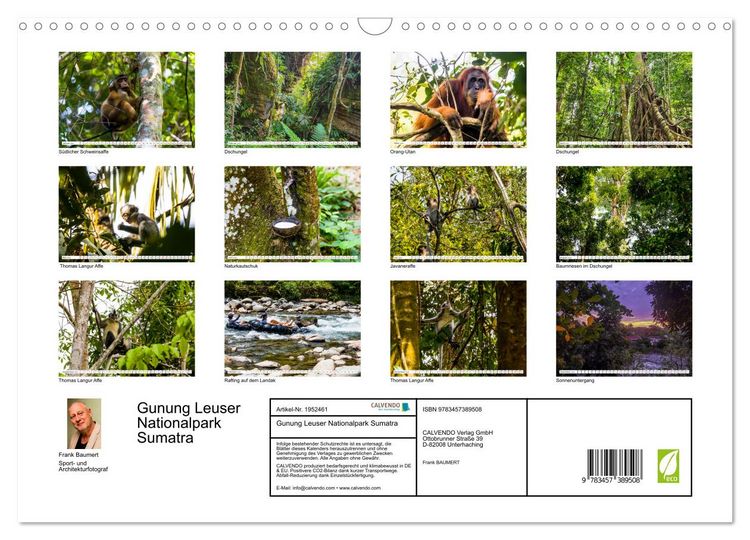 Produktbild: Gunung Leuser Nationalpark Sumatra (Wandkalender 2026 DIN A3 quer), CALVENDO Monatskalender