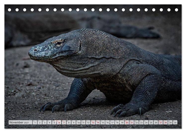 Produktbild: Drachen: Geheimnisvolles Tierreich (Tischkalender 2027 DIN A5 quer), CALVENDO Monatskalender