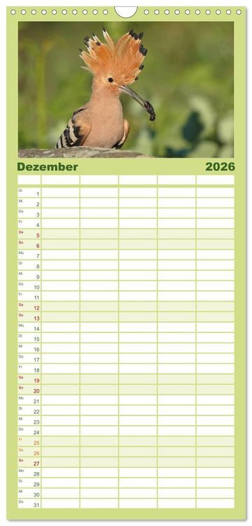 Produktbild: Familienplaner 2026 - Wiedehopf mit 5 Spalten (Wandkalender, 21 x 45 cm) CALVENDO