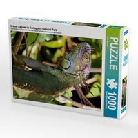 Produktbild: CALVENDO Puzzle Gr&uuml;ner Leguan im Tortuguero National Park | 1000 Teile Lege-Gr&ouml;&szlig;e 64x48cm Foto-Puzzle f&uuml;r gl&uuml;ckliche Stunden