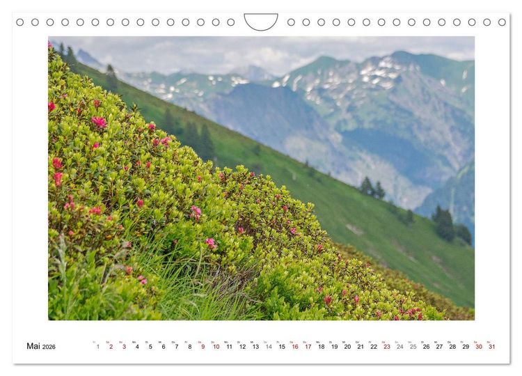 Produktbild: Naturwunder Bergwelt Fellhorn und H&ouml;rnergruppe (Wandkalender 2026 DIN A4 quer), CALVENDO Monatskalender