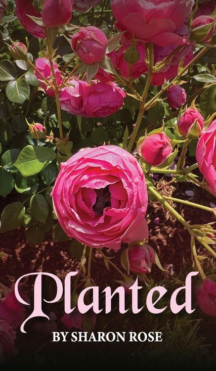 Produktbild: Planted