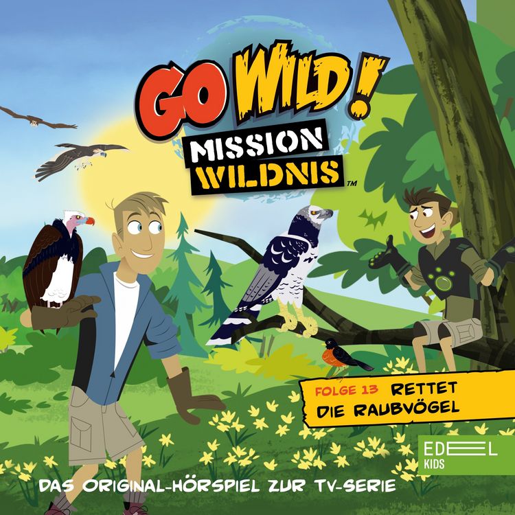 Produktbild: Folge 13: Rettet die Raubv&ouml;gel / Die Regenwald-Kobolde (Das Original H&ouml;rspiel zur TV-Serie)