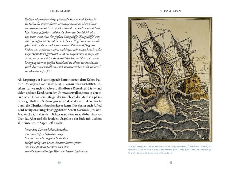 Produktbild: Das Meer