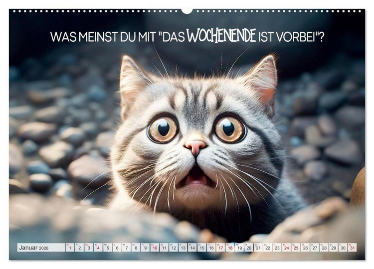 Produktbild: KATZEN-IRONIE Lach mal wieder (hochwertiger Premium Wandkalender 2026 DIN A2 quer), Kunstdruck in Hochglanz
