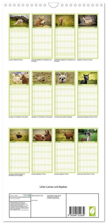 Produktbild: Familienplaner 2027 - Unter Lamas und Alpakas mit 5 Spalten (Wandkalender, 21 x 45 cm) CALVENDO