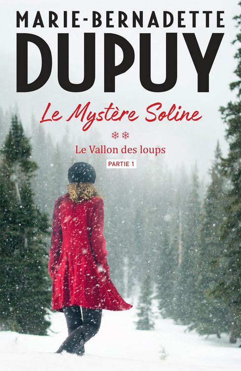 Produktbild: Le Myst&egrave;re Soline, T2 - Le vallon des loups - partie 1