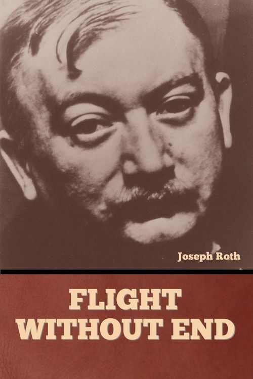 Produktbild: Flight without End